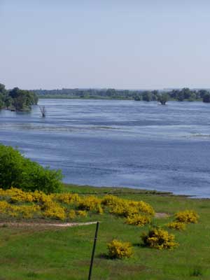 Die Oder bei Lebus